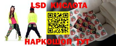 МДПВ Новодвинск