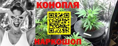 МДПВ Новодвинск