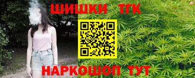 МДПВ Новодвинск