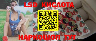 МДПВ Новодвинск