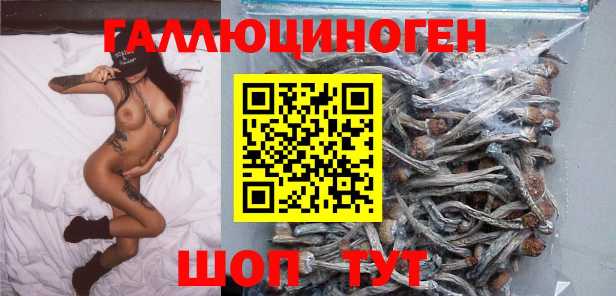 Галлюциногенные грибы Psilocybine cubensis Углич