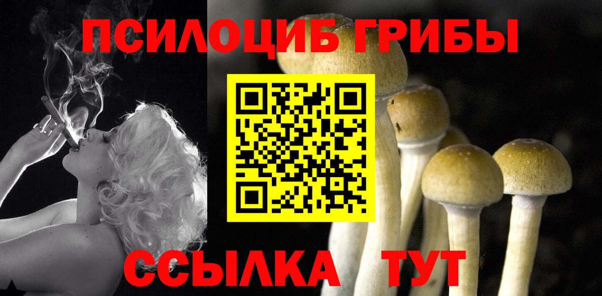 Углич  Галлюциногенные грибы MAGIC MUSHROOMS  Вход с VPN 